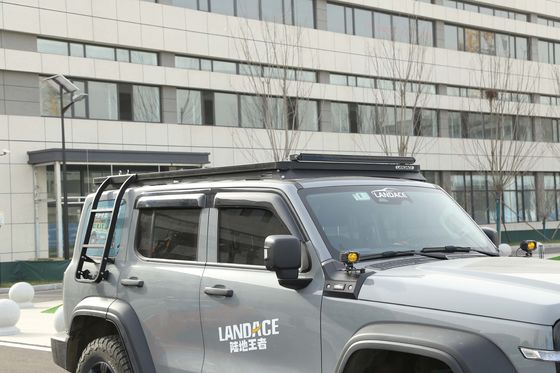 Schwarze 4x4 Seitenleiter Einseitige Leiter Nachrüstung für Tank 300