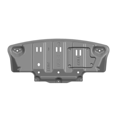 Ford Raptor 150 Motor Bodenplatte Hoch- und anpassbares Design Jahr 2010-2014